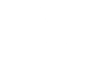 Swiss Diamond Vision